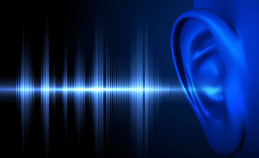 LOUD NOISE CAN DAMAGE HEARING